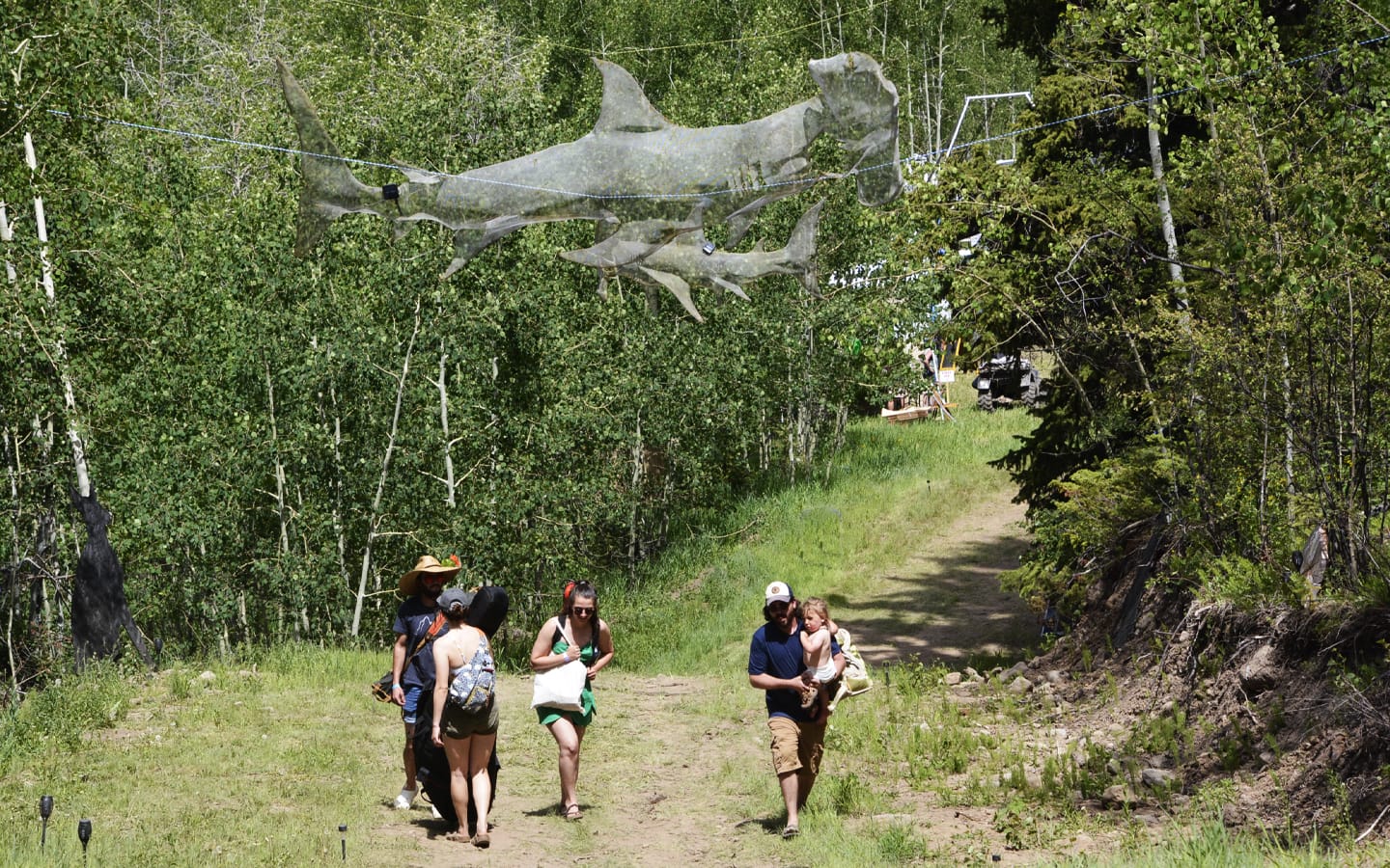 SKYSHARK